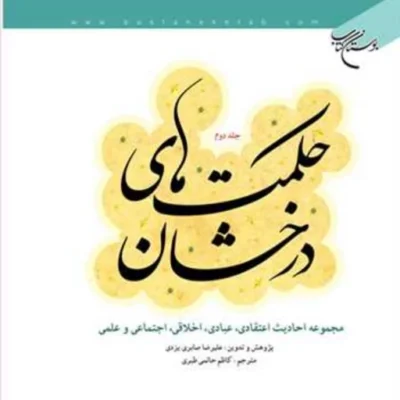 کتاب حکمت های درخشان 2 ناشر انتشارات بوستان کتاب نویسنده علیرضا صابری یزدی