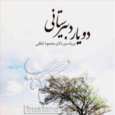 کتاب دو یار دبیرستانی (پروفسور دکتر محمود لطفی) ناشر فروشگاه بوستان شماره 6