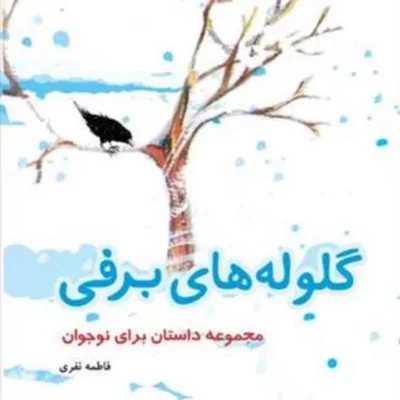 کتاب گلوله های برفی(مجموعه داستان برای نوجوان) ناشر انتشارات بوستان کتاب نویس