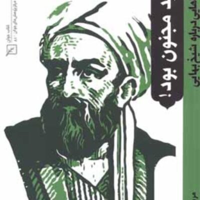 کتاب باید مجنون بود نگاره هایی درباره شیخ بهائی