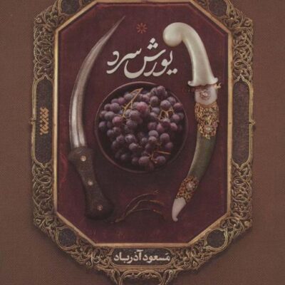 کتاب یورش سرد