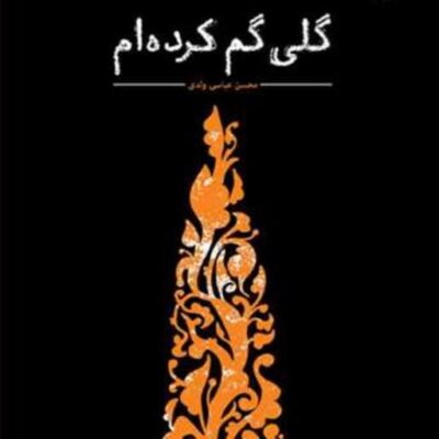 کتاب گلی گم کرده ام ناشر انتشارات بوستان کتاب نویسنده محسن عباسی ولدی